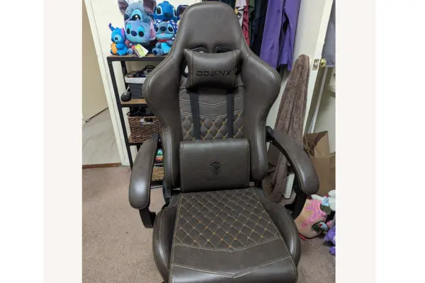 Is Dowinx a Good Gaming Chair? 