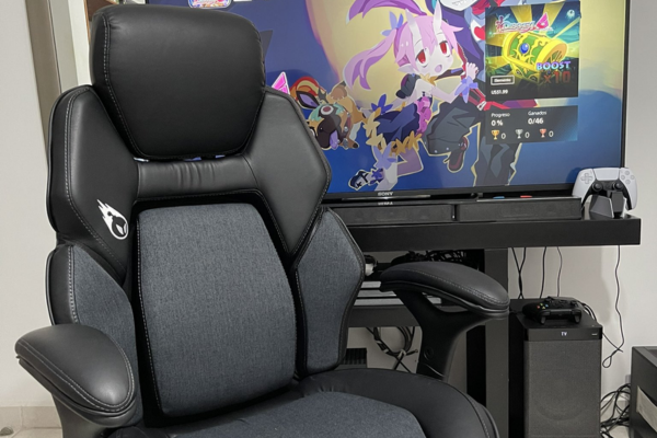 DPS Gaming Chair Review